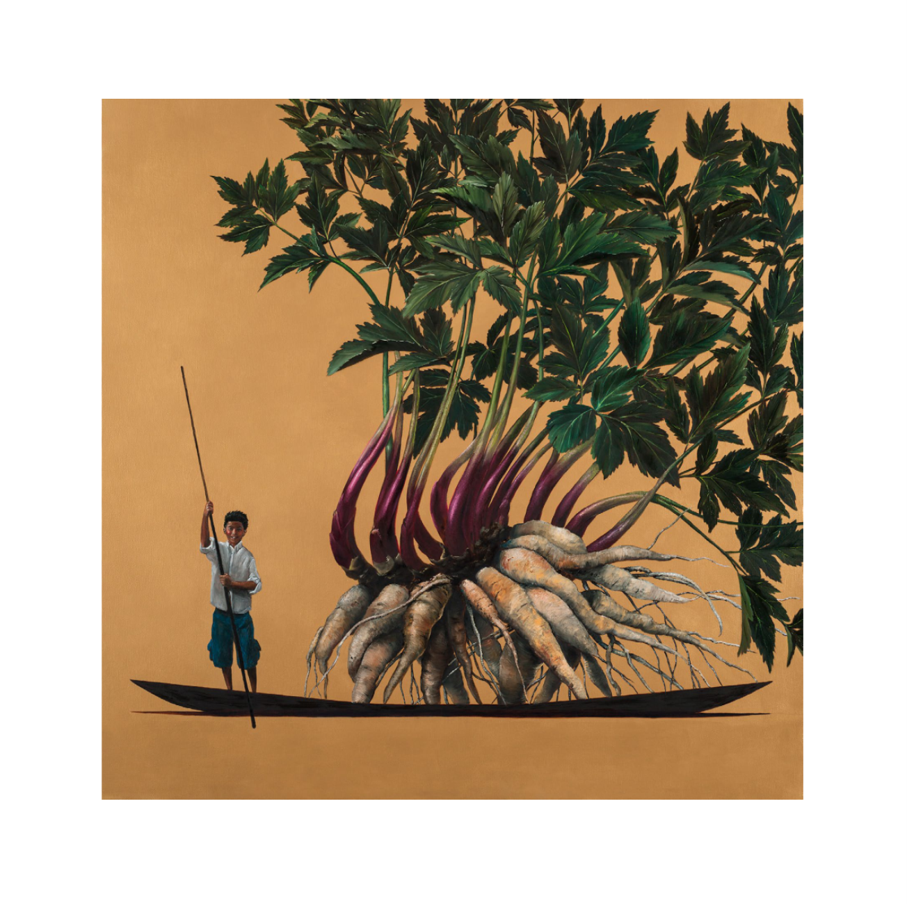 ElCoso_Pedro_Ruiz_Arracacha_De_Cajamarca