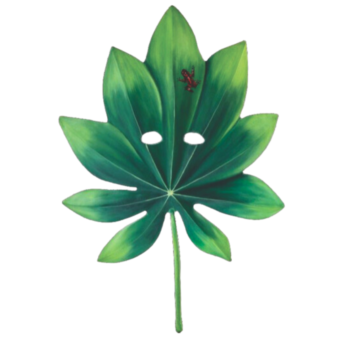 ElCoso_Daniela_Mejía_Hoja_De_La_Vida