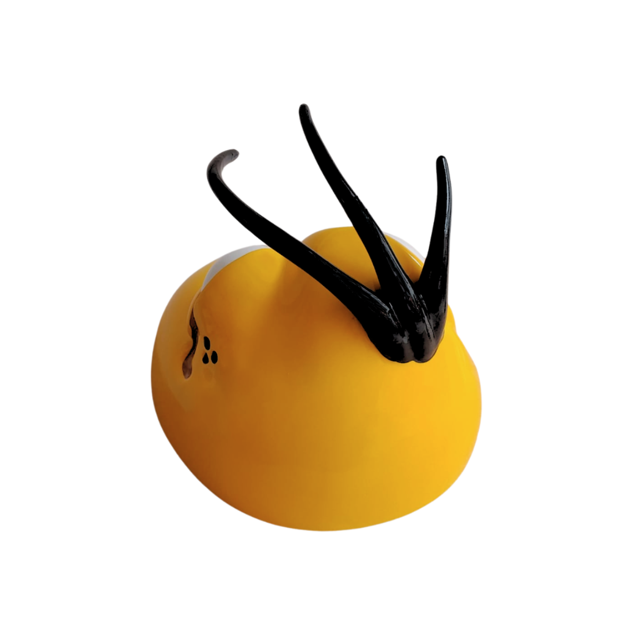 ElCoso_Frijol_Frijol_Mesa