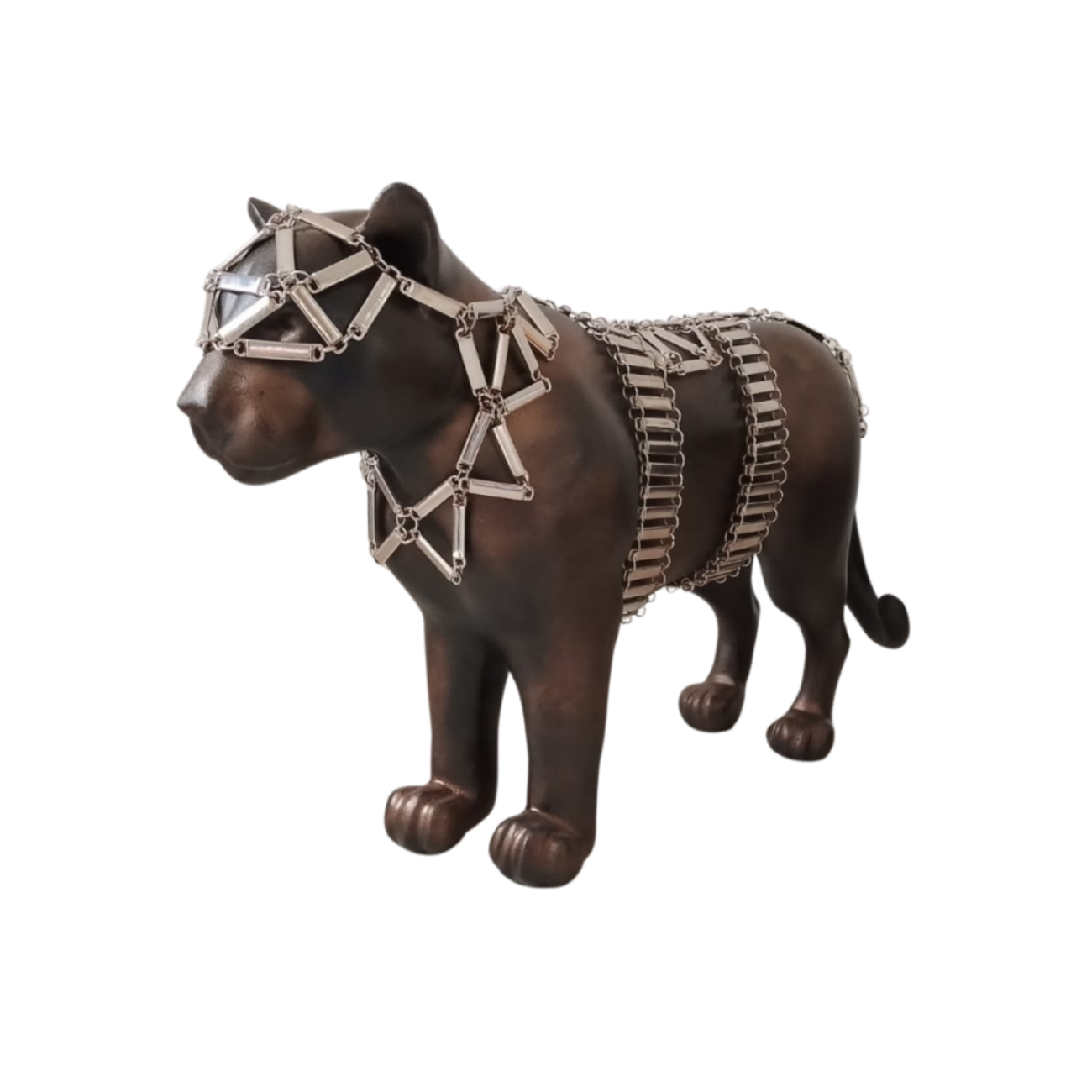 ElCoso_Álvaro_Diego_Gómez_Jaguar_De_Acero