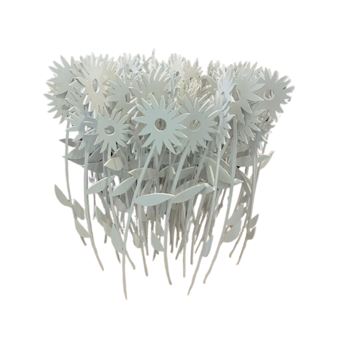 ElCoso_Lorenzo_Castro_Margaritas