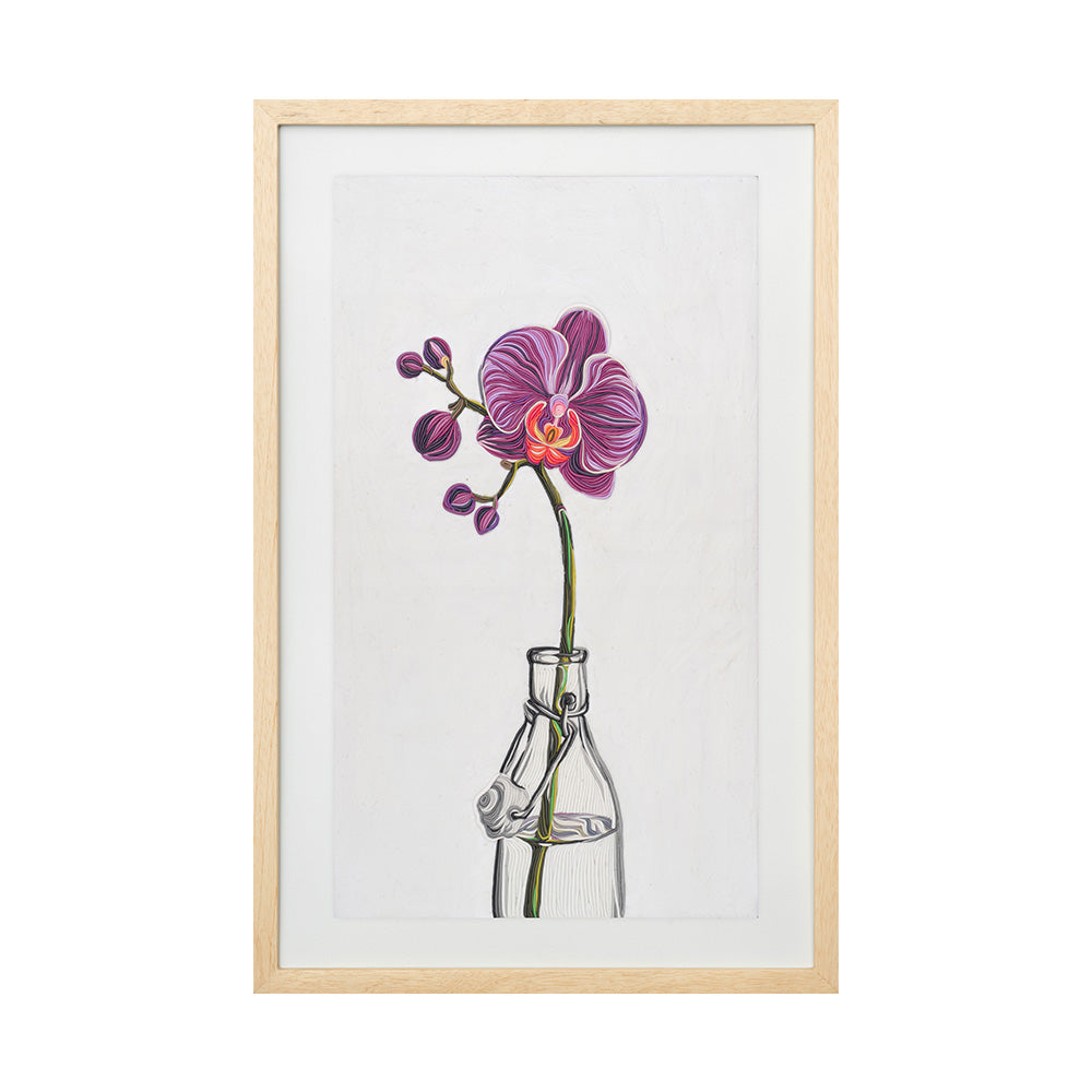 Orquídea mariposa