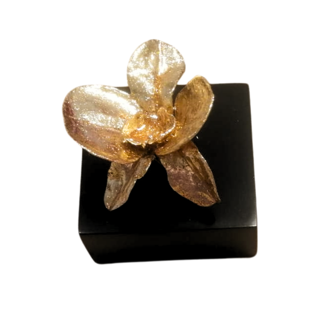 ElCoso_Verónica_Muñoz_Las_Orquídeas