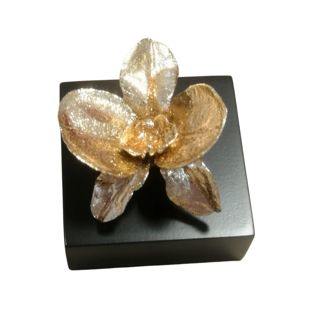 ElCoso_Verónica_Muñoz_Las_Orquídeas