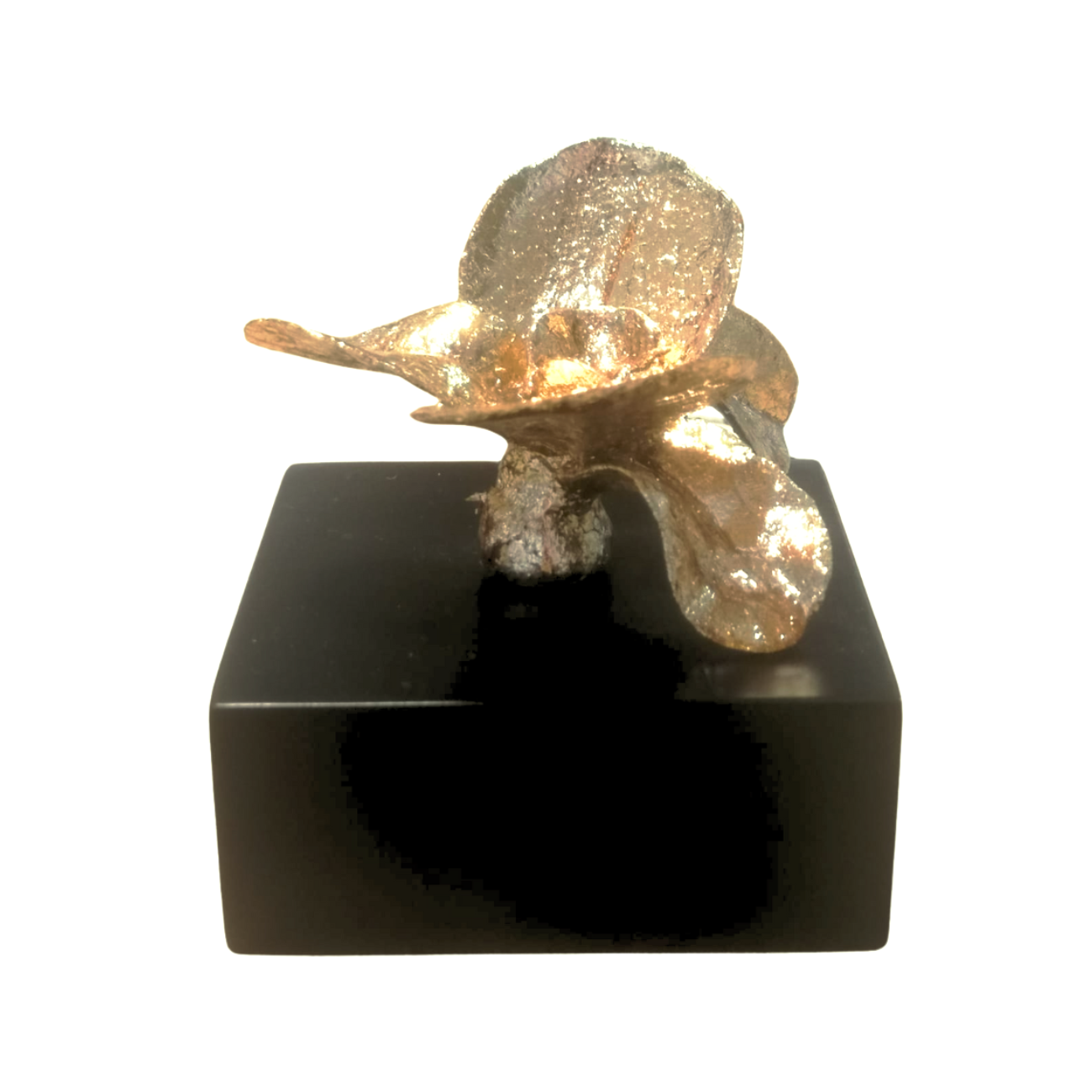 ElCoso_Verónica_Muñoz_Las_Orquídeas