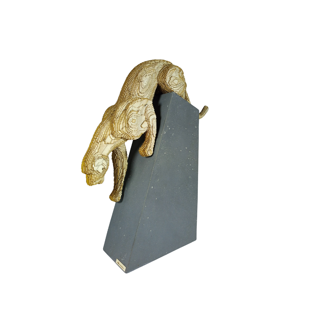 Christian Albarracín