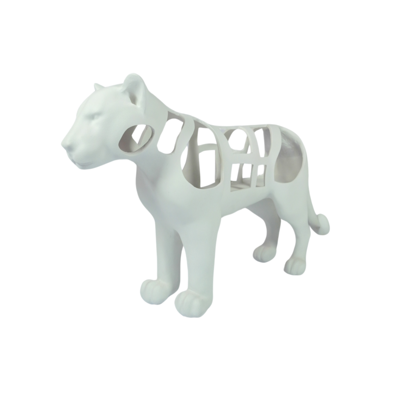 ElCoso_Juanita_Carrasco_De_Costrucción