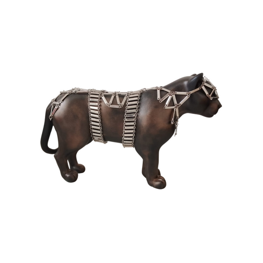 ElCoso_Álvaro_Diego_Gómez_Jaguar_De_Acero