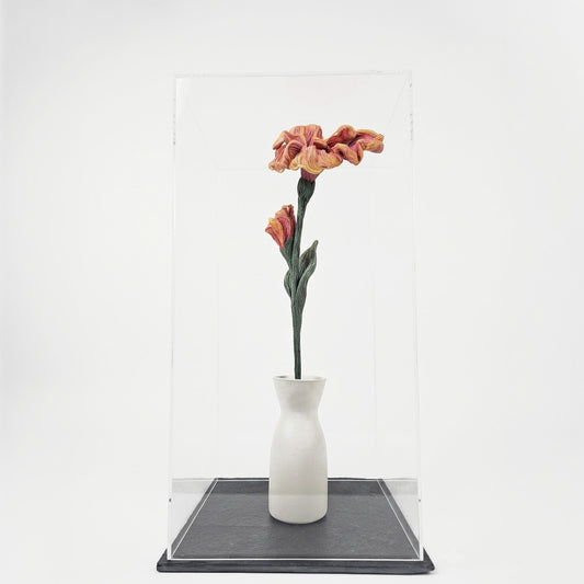 Canna Escultura