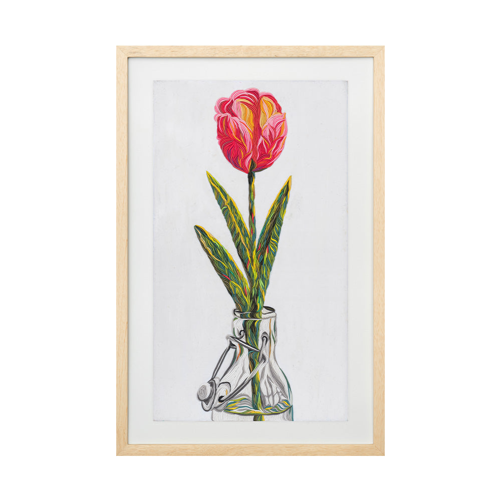 Tulipán