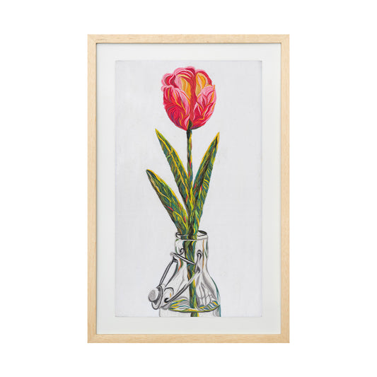 Tulipán