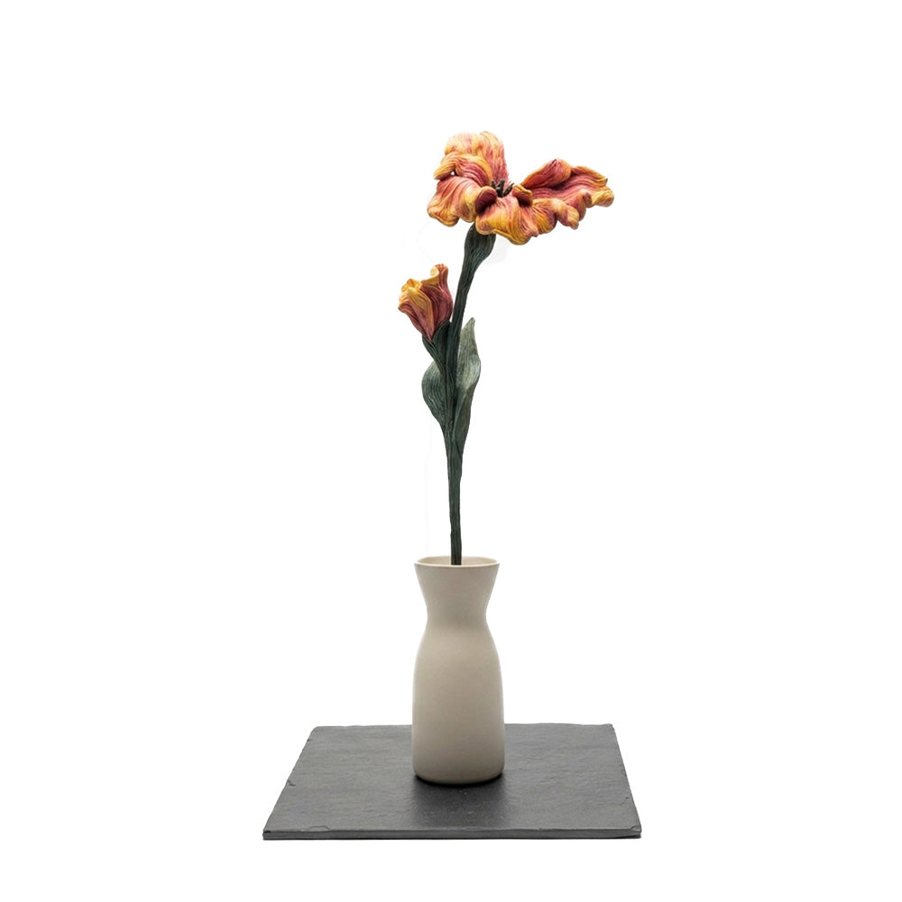 Canna Escultura