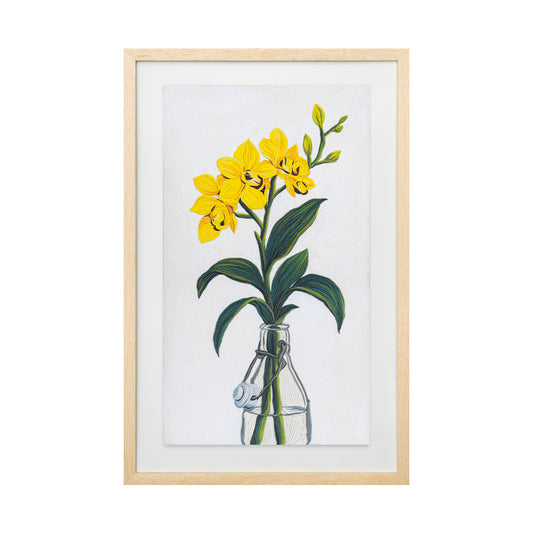 Orquídea amarilla