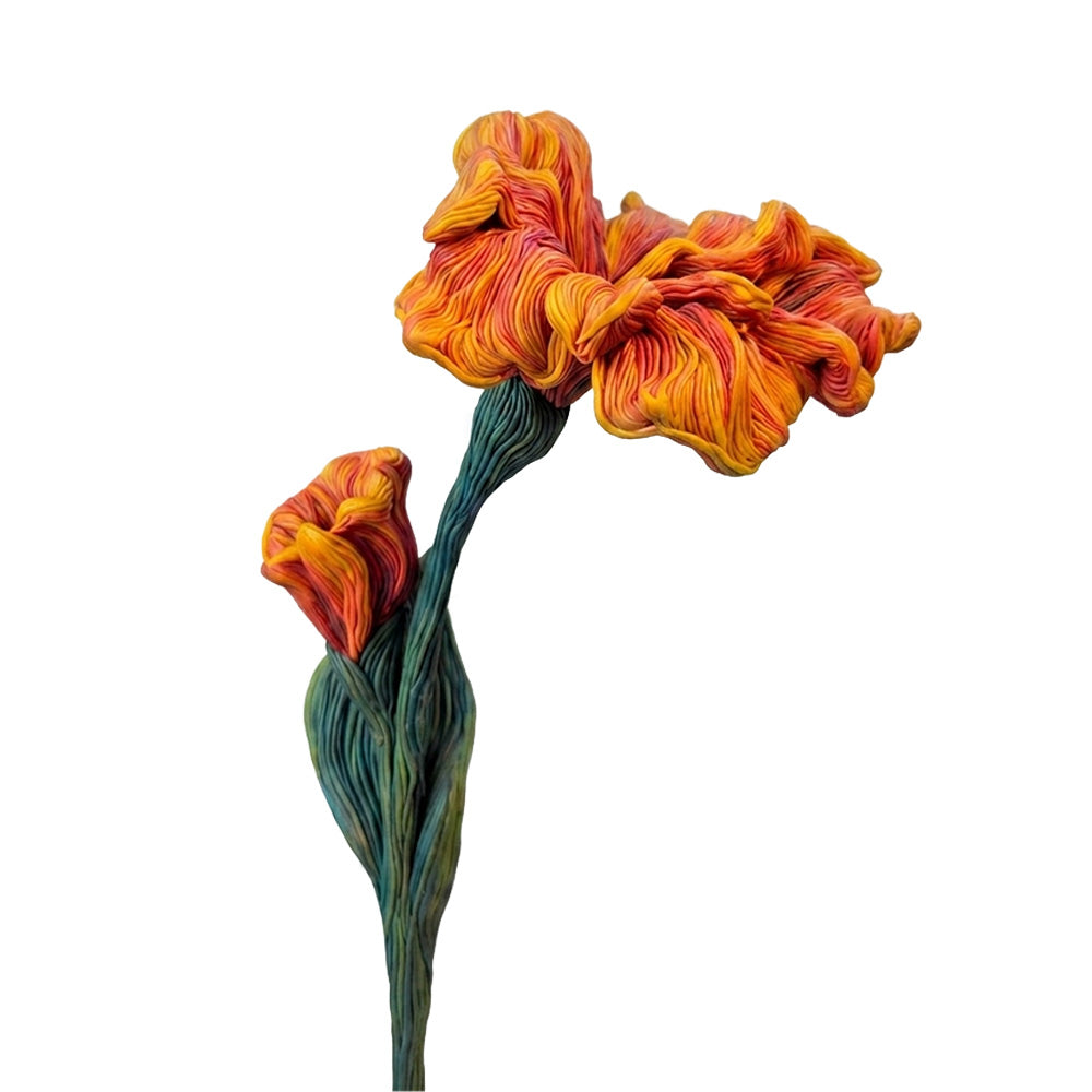 Canna Escultura