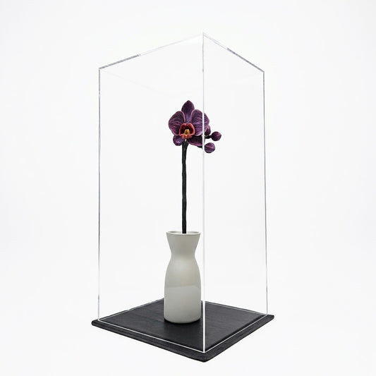 Orquídea Escultura