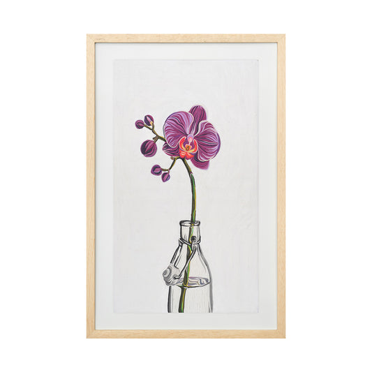 Orquídea mariposa