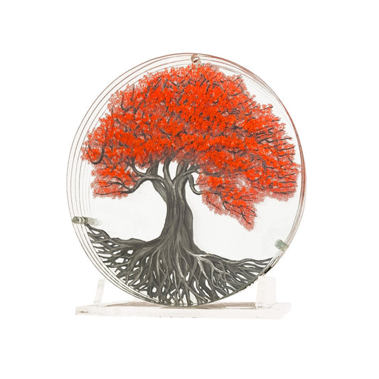 Acacia Roja