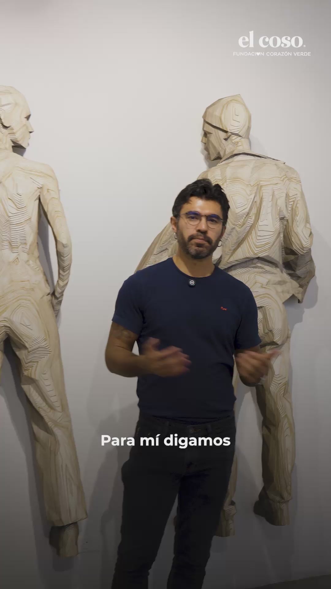 Cargar video: 
